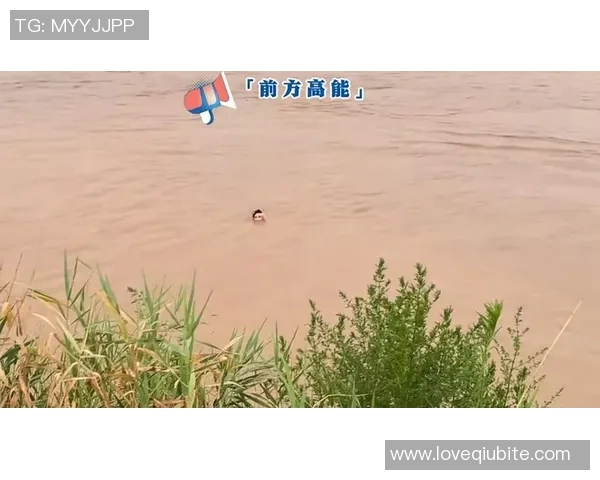 近视足球明星盘点他们如何在绿茵场上克服视力障碍