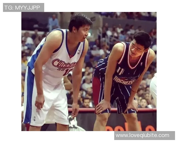 篮球明星们的传奇人生与他们背后的故事揭秘